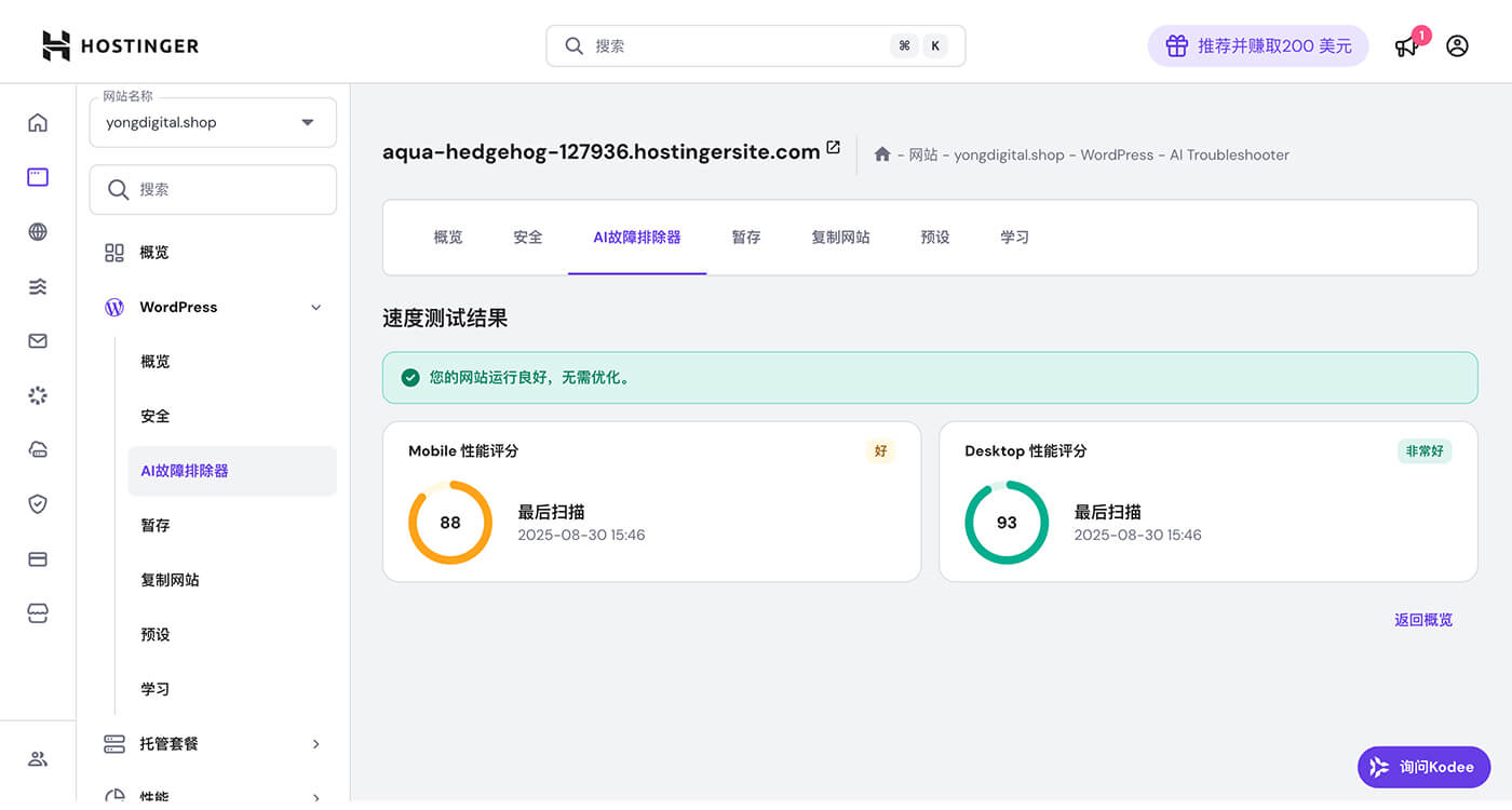 Hostinger 检查网站情况