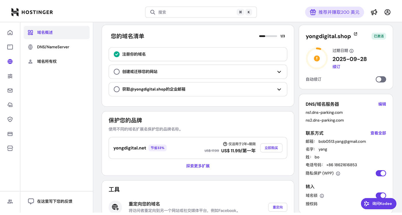 Hostinger 查看域名状态